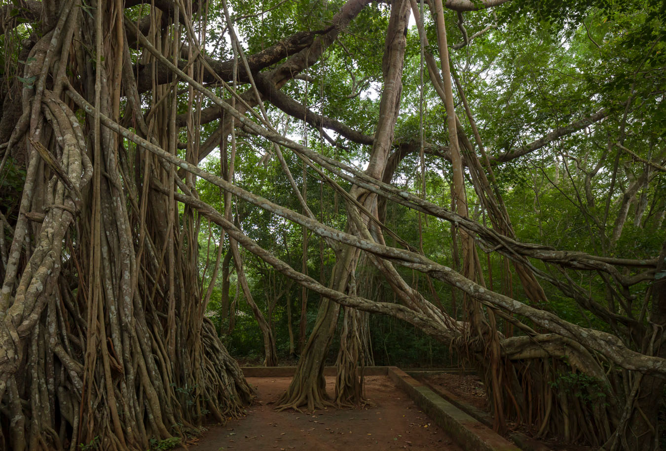 Buddhistische Kulturlandschaften