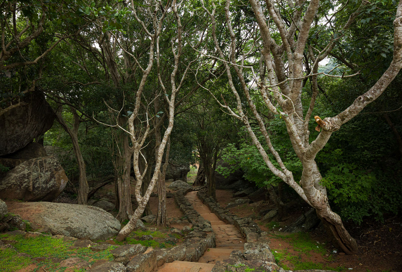 Buddhistische Kulturlandschaften