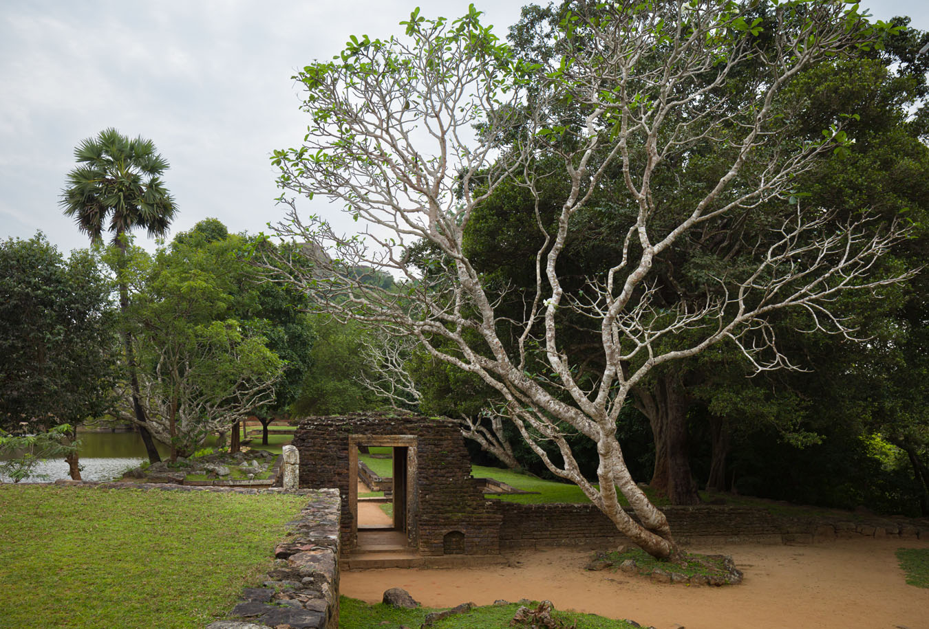 Buddhistische Kulturlandschaften