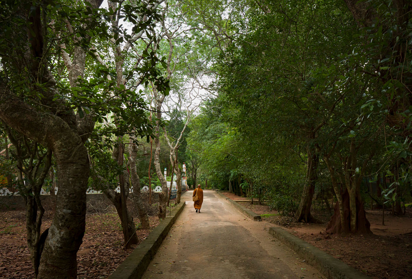 Buddhistische Kulturlandschaften