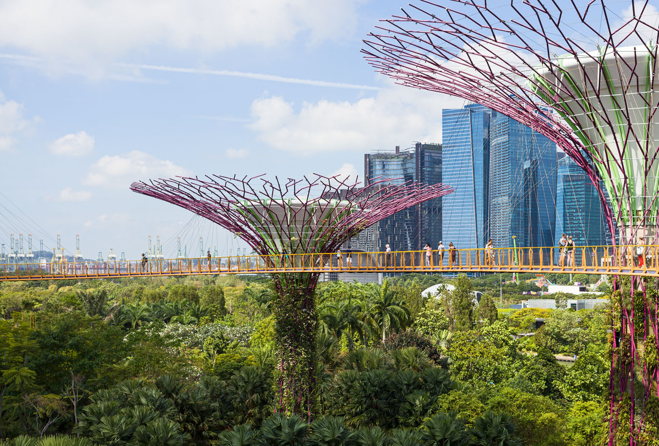 Gardens by the Bay, Singapur · Architektur: WilkinsonEyre